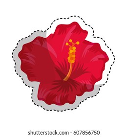 exotic and tropical flower icon vector illustration design