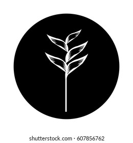 exotic and tropical flower icon vector illustration design