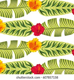 exotic and tropical flower icon vector illustration design