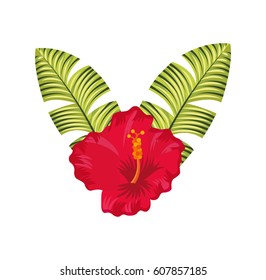 exotic and tropical flower icon vector illustration design