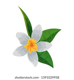 exotic tropical flower and leafs
