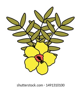 exotic and tropical flower with leafs garden