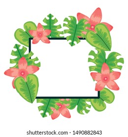 exotic and tropical flower with leafs square frame