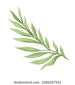 Exotic or tropical flower leaves design, isolated branch with foliage. Leafage of nature and wilderness, wild houseplants and lush greenery for rainforest or park setting. Vector in flat style