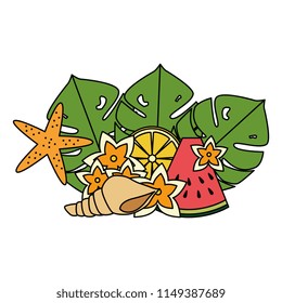 exotic and tropical flower with watermelon and shell
