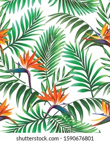 	
Exotic tropical flowers coral hibiscus palm leaves pattern seamless. Jungle vector vintage wallpaper