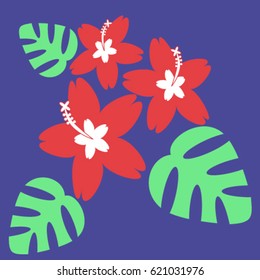 Exotic tropical flowers, hibiscus, on a contrasting background in a flat style, vector illustration