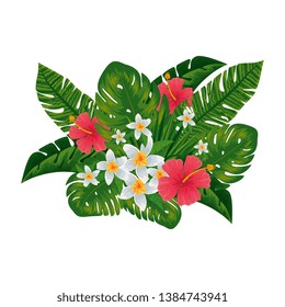 exotic tropical flowers and leafs decoration