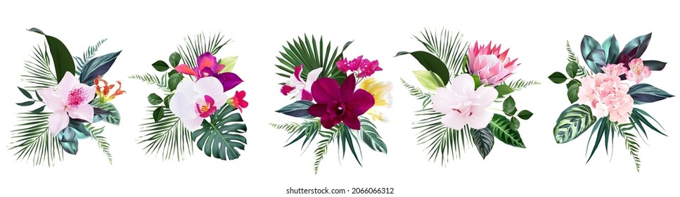 Exotic tropical flowers, orchid, hibiscus, bougainvillea, protea, alstroemeria, palm, monstera leaves vector design bouquet. Jungle forest wedding floral design. Island greenery. Isolated and editable svg