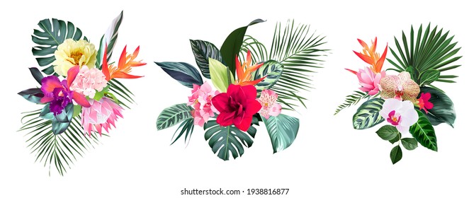 Exotic tropical flowers, orchid, strelitzia, hibiscus, protea, anthurium, palm, monstera leaves vector design bunches. Jungle forest wedding bouquet. Island greenery.Elements are isolated and editable