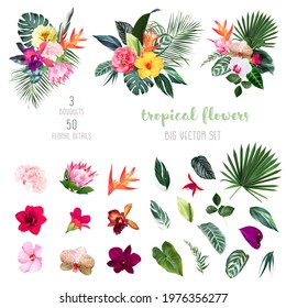 Exotic tropical flowers, orchid, strelitzia, hibiscus, protea, anthurium, palm, monstera leaves big vector design set. Jungle forest wedding bouquet. Island greenery.Elements are isolated and editable