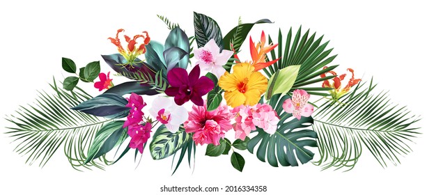 Exotic tropical flowers, orchid, strelitzia, hibiscus, bougainvillea, gloriosa, palm, monstera leaves vector design bouquet. Jungle forest wedding floral design. Island greenery. Isolated and editable