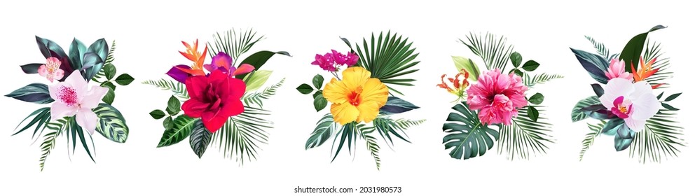 Exotic tropical flowers, orchid, strelitzia, hibiscus, bougainvillea, gloriosa, palm, monstera leaves vector design bouquet. Jungle forest wedding floral design. Island greenery. Isolated and editable