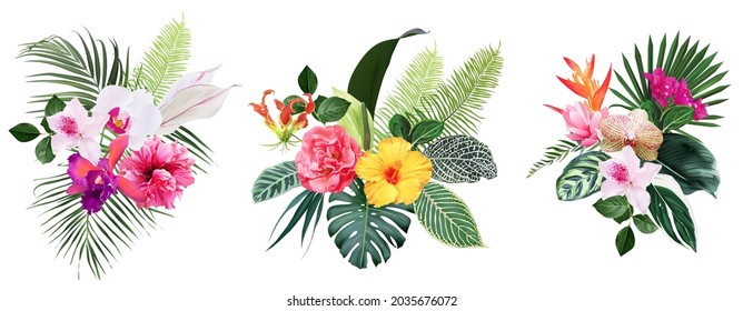 Exotic tropical flowers, orchid, strelitzia, hibiscus, bougainvillea, gloriosa, palm, monstera leaves vector design bouquet. Jungle forest wedding floral design. Island greenery. Isolated and editable