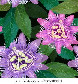 Exotic tropical flowers. Seamless pattern on a black background.