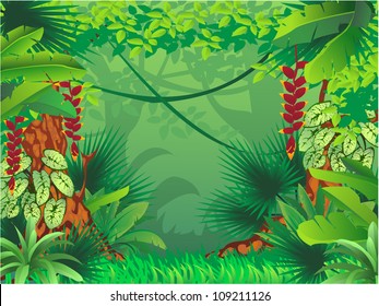 exotic tropical forest