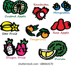 Exotic Tropical Fruit 