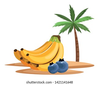 exotic tropical fruit with bluberries and banana cluster icon cartoon over sand with palm background vector illustration graphic design