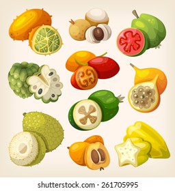 Exotic tropical fruit. Icons for labels and packages