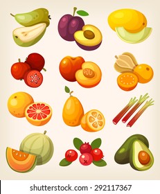 Exotic tropical fruit. Icons for labels and packages