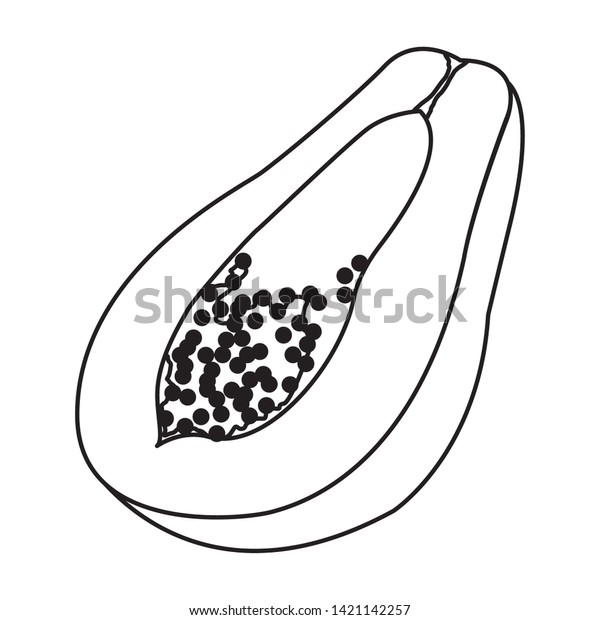 Exotic Tropical Fruit Papaya Icon Cartoon のベクター画像素材 ロイヤリティフリー