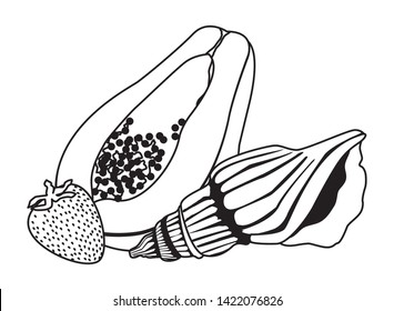 exotic tropical fruit with papaya, strawberry and decorated with seashell icon cartoon in black and white vector illustration graphic design