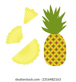 Piña de fruta tropical exótica: objeto aislado con ilustración vectorial. Perfecto para impresiones, carteles, etiquetas, etc.