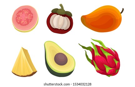 Exotic Tropical Fruit Vector Set Isolated On White Background.