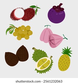 Exotic Tropical Fruit Vibrant Illustration Hand-Drawn Vector Decorative Design Pack Asset Collection