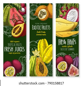 Exotic tropical fruits banners for farm market or fresh juice. Vector sketch mango, guava or durian and mangosteen, tropic papaya and juicy rambutan or dragon fruit pithaya, feijoa or lychee fruit