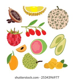 Exotic Tropical Fruits Collection. vector illustration