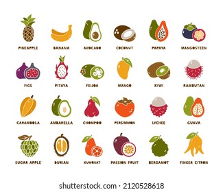 Exotic and tropical fruits, color silhouette icons set. Hand drawn vector contour of pineapple, banana, avocado, coconut, papaya, mangosteen, fig, mango, pitaya, feijoa, lychee, guava, kiwi
