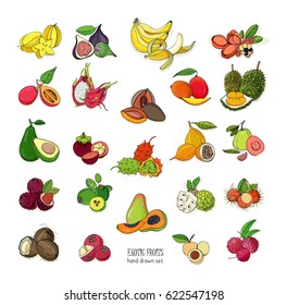 exotic tropical fruits hand drawn set. Collection of whole fruit and cutaway. Avocado, Ackee, Banana, Guava, Dogwood, Durian, Figs, Carambola, Kiwano, Coconut, Lychee, Longan, Mango, Mangosteen.