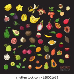 exotic tropical fruits hand drawn set. Collection of whole fruit and cutaway. Avocado, Ackee, Banana, Guava, Dogwood, Durian, Figs, Carambola, Kiwano, Coconut, Lychee, Longan, Mango, Mangosteen. 