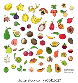 Exotic tropical fruits hand drawn set. Collection of whole fruit and cutaway. Avocado, Ackee, Banana, Guava, Dogwood, Durian, Figs, Carambola, Kiwano, Coconut, Lychee, Longan, Mango, Mangosteen.