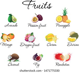 Exotic tropical fruits set vector illustration. Collection consist of avodo, passion fruit, pineapple, mango, dragon fruit, carom, durian, coconut, fig, rambutan. Isolated on white