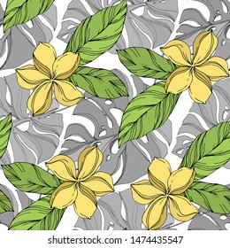 Exotic tropical hawaiian summer set, vector illustration 