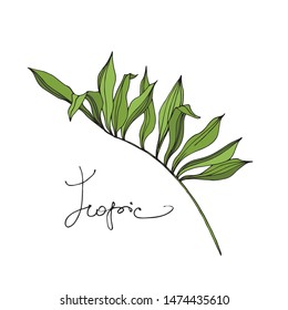 Exotic tropical hawaiian summer set, vector illustration 