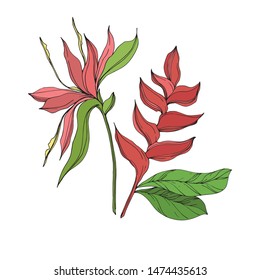 Exotic tropical hawaiian summer set, vector illustration 