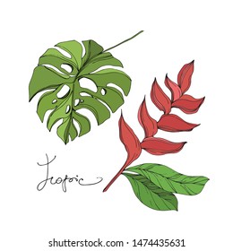 Exotic tropical hawaiian summer set, vector illustration 