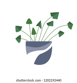 Exotic tropical houseplant in a flower pot. Flat vector illustration.