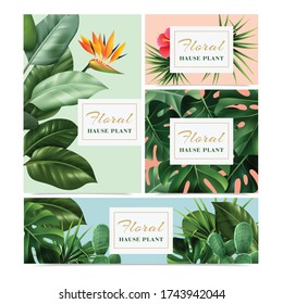 Exotic tropical houseplants 4 realistic advertising banners set with bird paradise flower hibiscus cacti monstera vector illustration 
