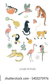 Exotic tropical Jungle animals illustration set isolated on white. Tiger Leopard Panther Sloth Monkey Snake Flamingo Parrot Toucan Kiwi bird Rainforest creature graphics.