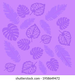 Exotic tropical jungle leaves. monstera plant leaves, banana plants and green tropics palm leaves pattern