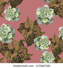 Exotic tropical jungle plants. Seamless vector tropical pattern  with tropical plants with pink spots and succulents. Dark pink background.