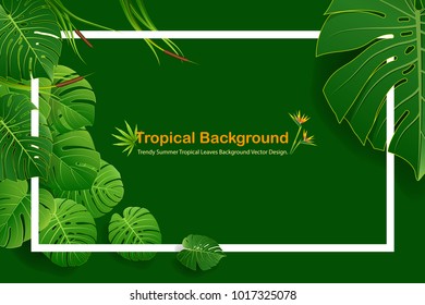 Exotic tropical leaf background for invitation greeting template of Summer. Bright tropical background with jungle plants. Exotic pattern with tropical leaves. Vector illustration.