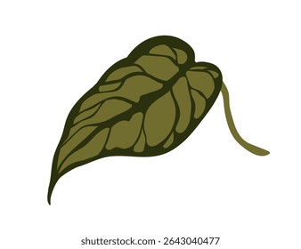Folha tropical exótica. Alocasia verde largo com veias. Verde, planta folhagem variegada. Elemento de design botânico natural, decoração. Ilustração de vetor plano isolada no plano de fundo branco