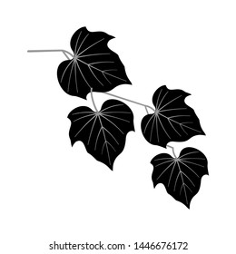 exotic tropical leaf and fruit bw