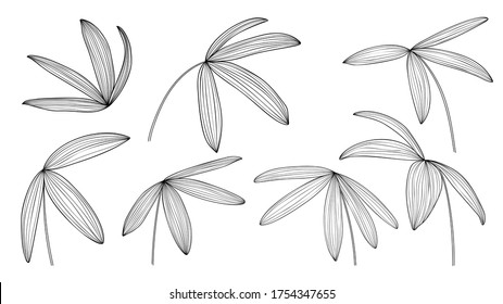 Exotic tropical leaf hand drawn vector. Botanical leaves black and white engraved ink art. Design for fabric, textile print, wrapping paper, fashion, interior design and cover. 