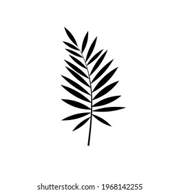 Exotic tropical leaf icon. Palm glyph design. Vector stock illustration for poster
